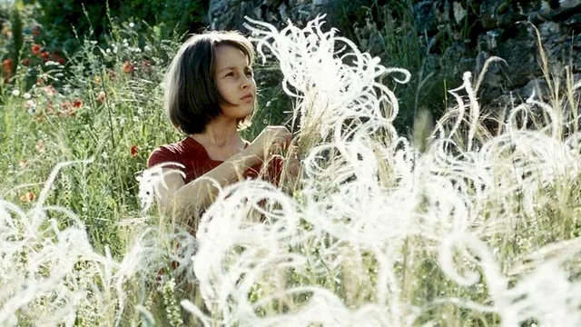 Photo du film : La Clé des Champs