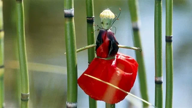 Photo du film : La Clé des Champs