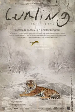 Affiche du film = Curling
