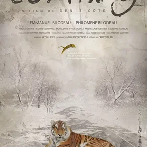 Photo du film : Curling