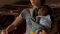 Affiche du film : Le Secret de l'enfant fourmi