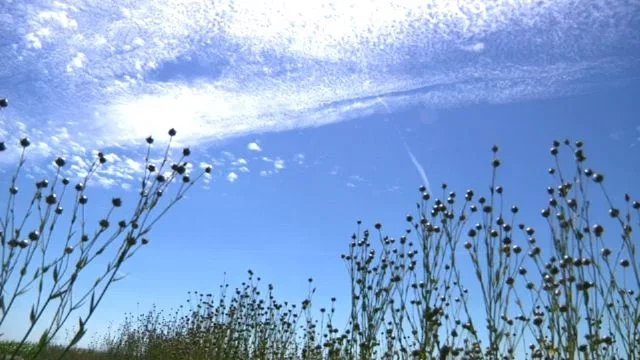 Photo 3 du film : La pluie et le beau temps 