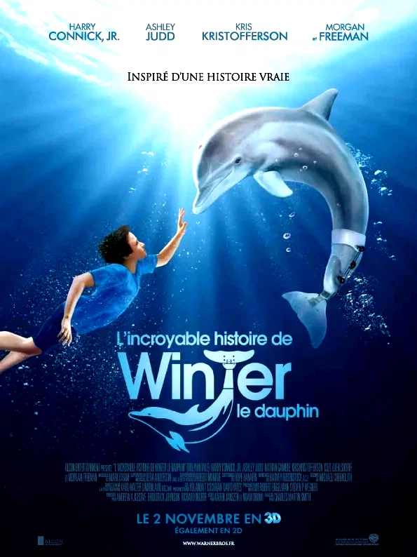 Affiche du film : L'incroyable histoire de Winter le dauphin