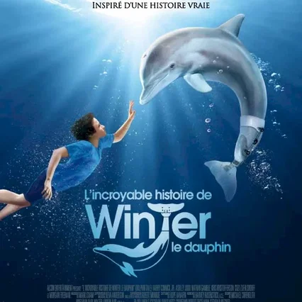 Miniature photo du film : L'incroyable histoire de Winter le dauphin