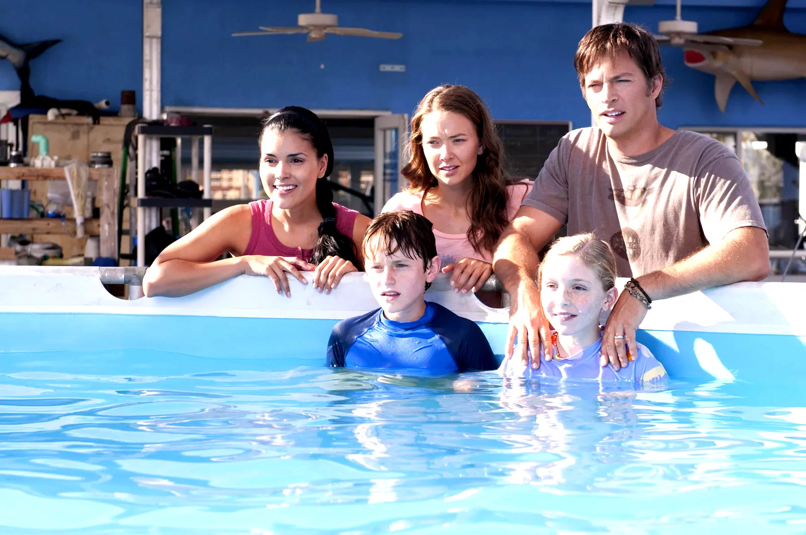 Photo du film : L'incroyable histoire de Winter le dauphin