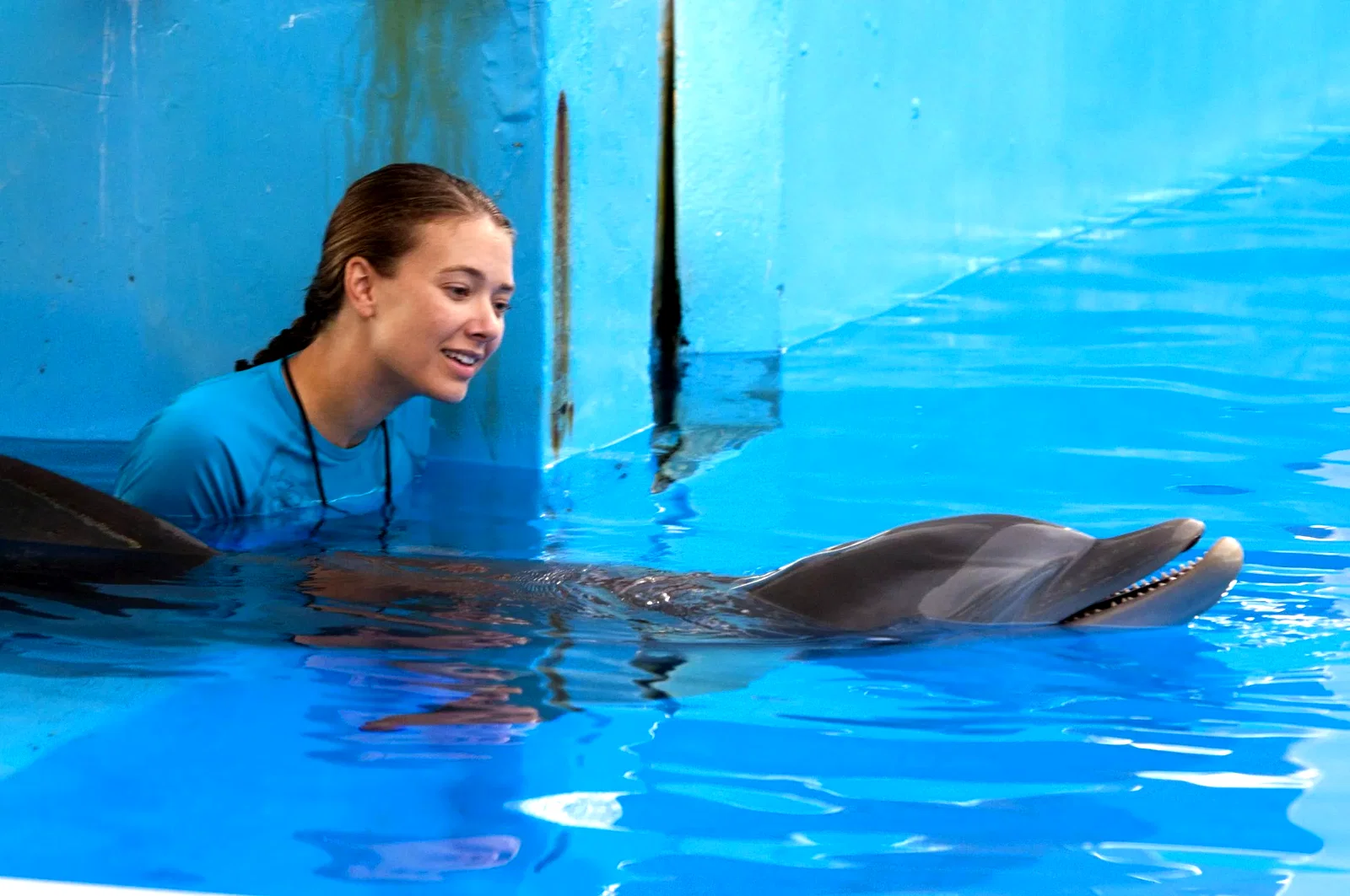 Photo du film : L'incroyable histoire de Winter le dauphin