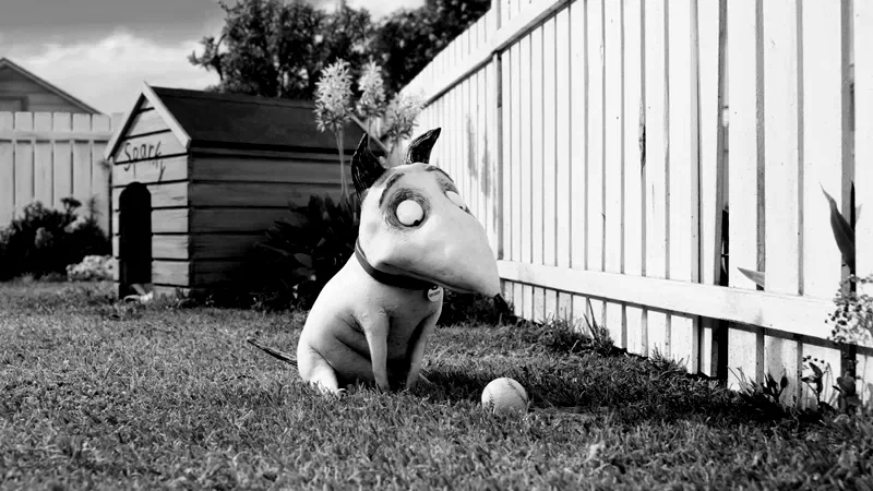 Photo 2 du film : Frankenweenie