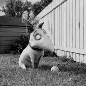 Photo du film : Frankenweenie