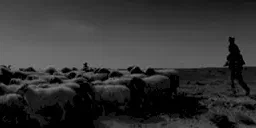 Photo 2 du film : Black Blood