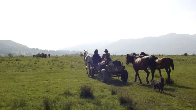 Photo du film : Hors des sentiers battus