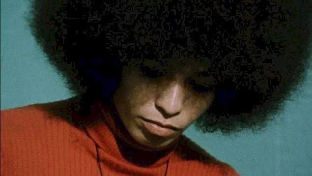 Photo 2 du film : Black power mixtape
