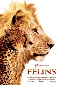 Affiche du film = Félins