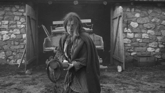 Photo du film : Le cheval de Turin 