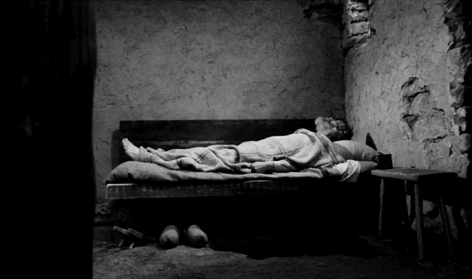 Photo du film : Le cheval de Turin 