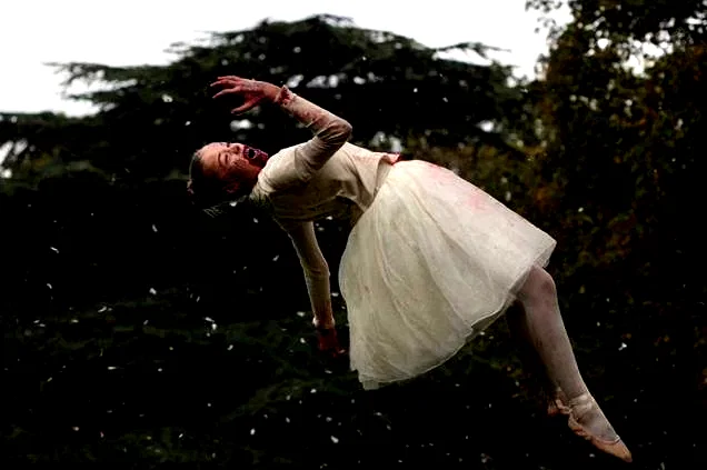 Photo 2 du film : Livide