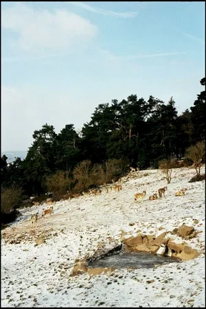 Photo du film : Les Chants de Mandrin