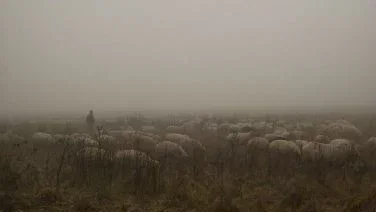 Photo du film : Hors des sentiers battus