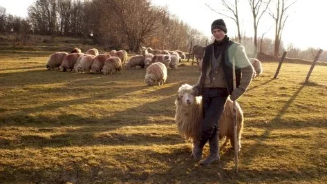 Photo du film : Hors des sentiers battus