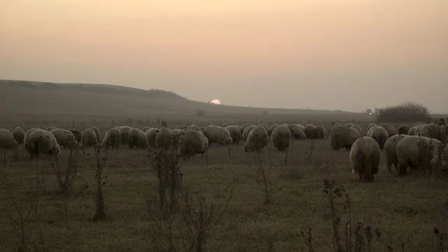 Photo du film : Hors des sentiers battus