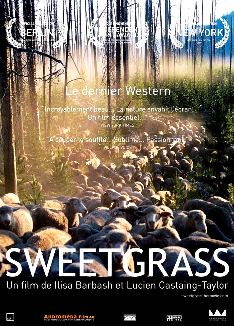 Affiche du film : Sweetgrass