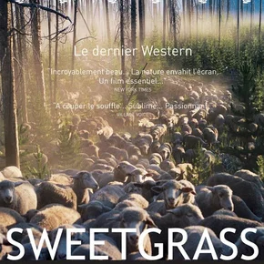 Photo du film : Sweetgrass