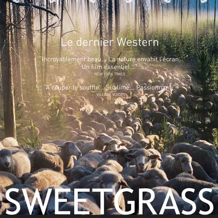 Miniature photo du film : Sweetgrass