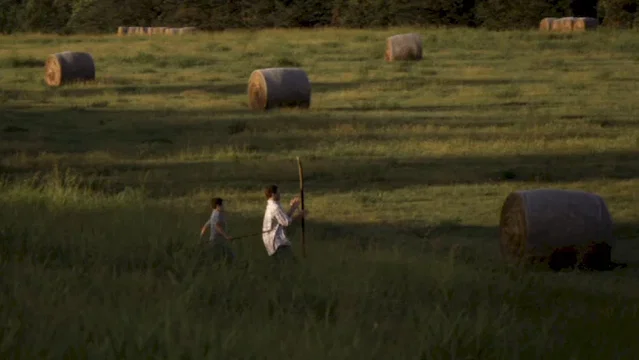 Photo 7 du film : Summertime