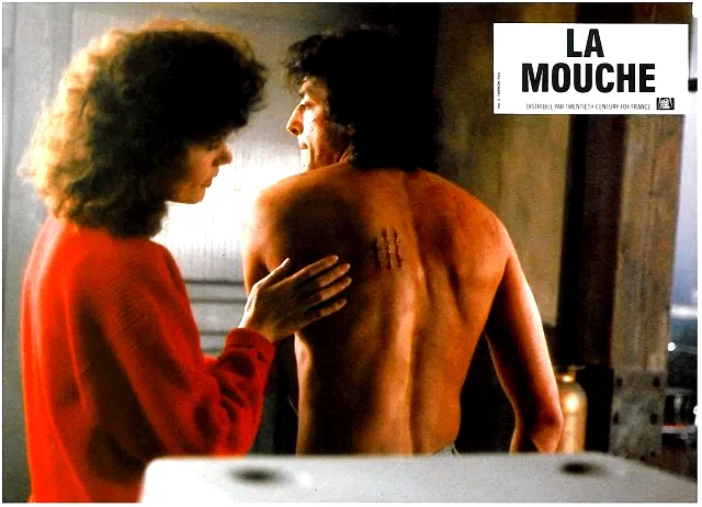 Photo 5 du film : La mouche