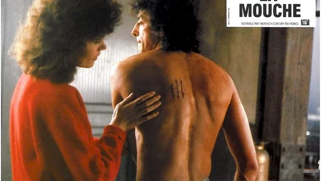 Photo du film : La mouche