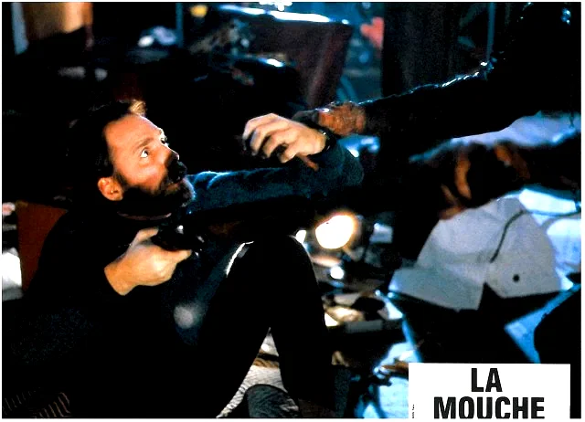 Photo 7 du film : La mouche