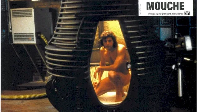 Photo du film : La mouche