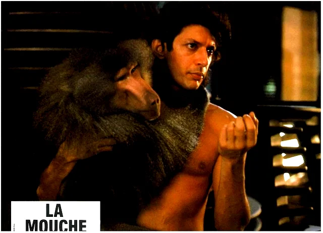 Photo 11 du film : La mouche