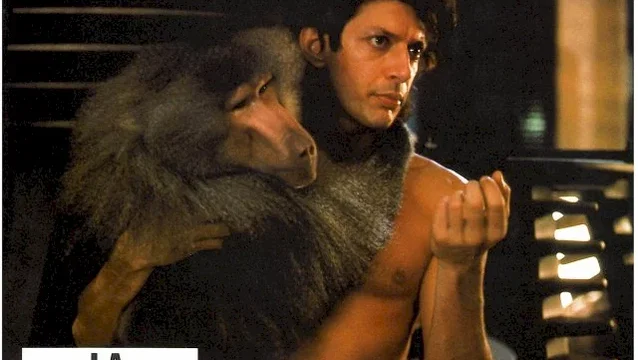 Photo du film : La mouche