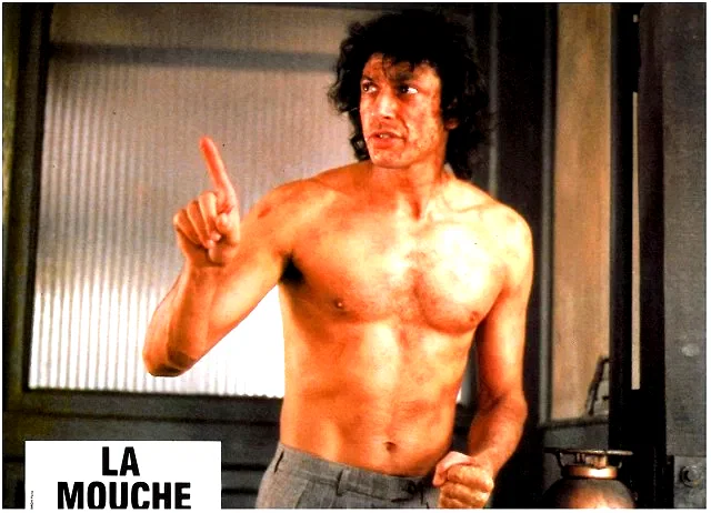 Photo 12 du film : La mouche