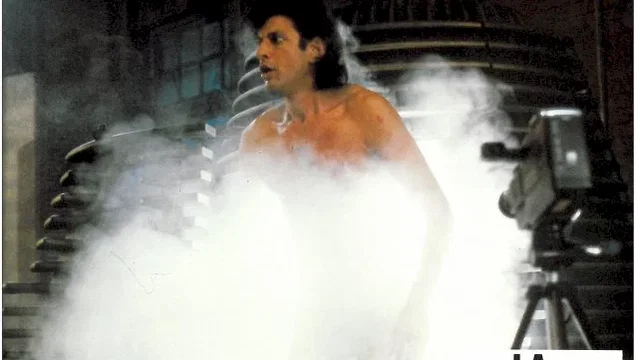 Photo du film : La mouche