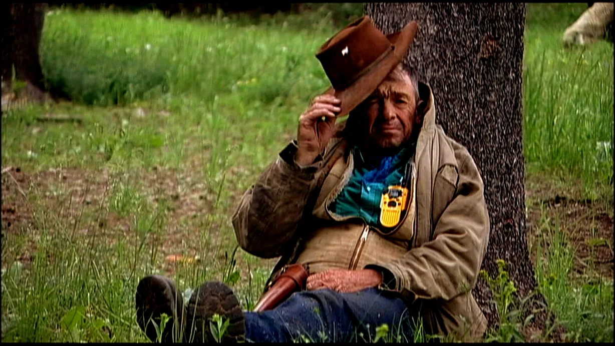 Photo 2 du film : Sweetgrass
