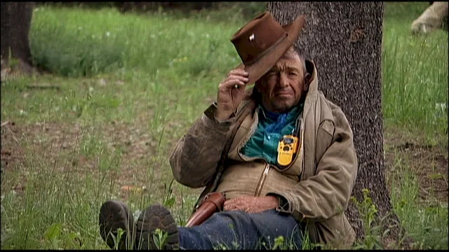 Photo 2 du film : Sweetgrass