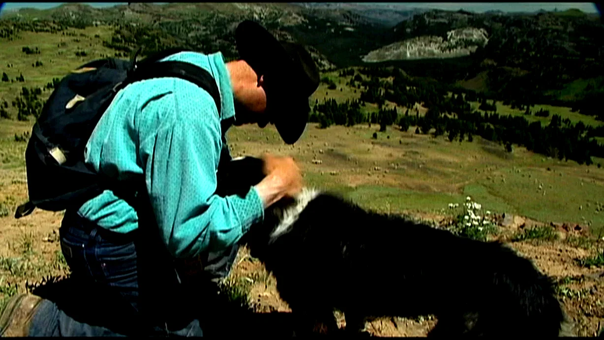 Photo 7 du film : Sweetgrass