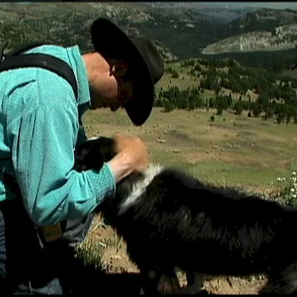 Miniature photo du film : Sweetgrass