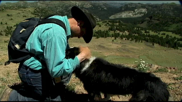 Photo 7 du film : Sweetgrass