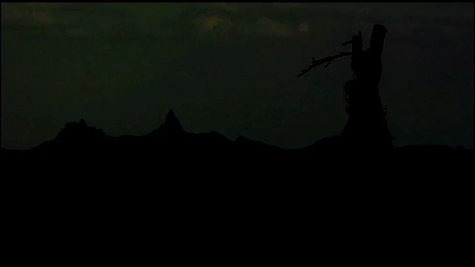 Photo 9 du film : Sweetgrass