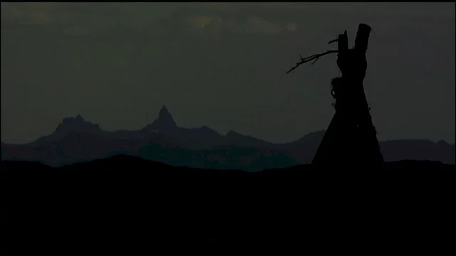 Photo 9 du film : Sweetgrass