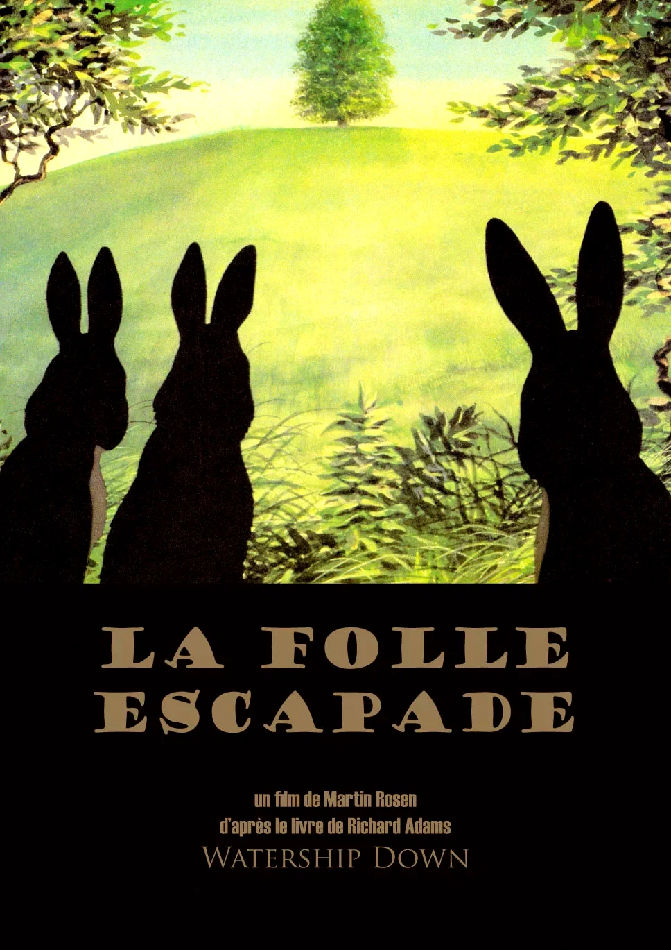 Affiche du film : La folle escapade