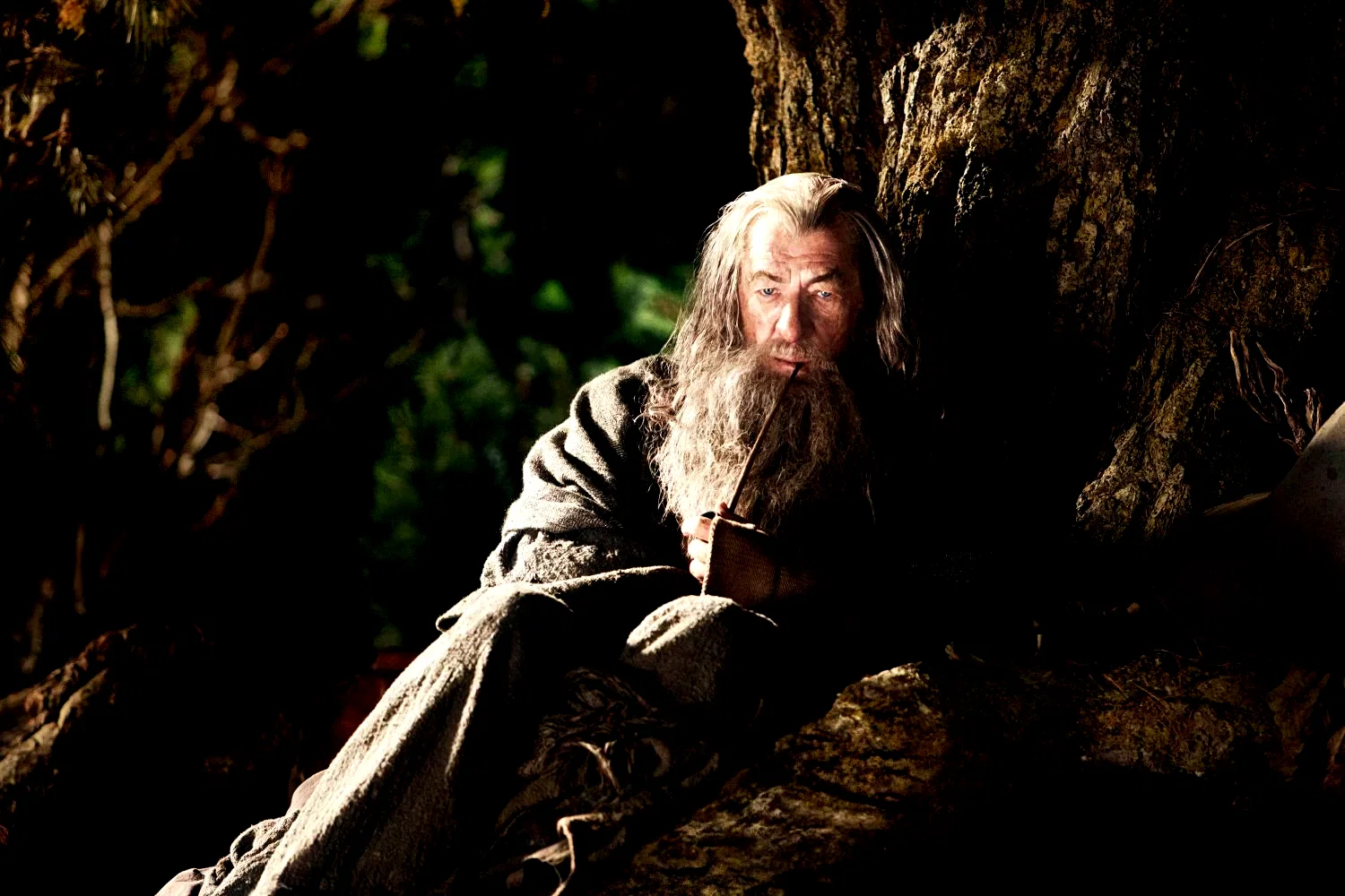 Photo 24 du film : Bilbo le Hobbit : un voyage inattendu