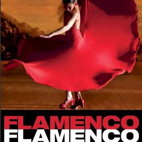 Photo du film : Flamenco Flamenco