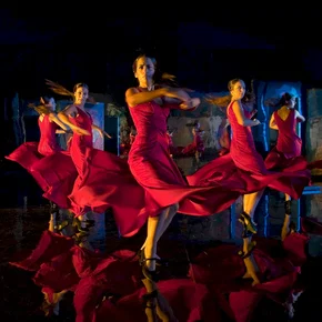 Photo du film : Flamenco Flamenco