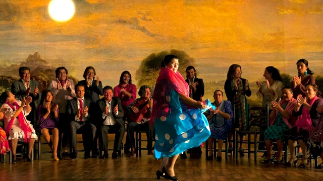 Affiche du film : Flamenco Flamenco