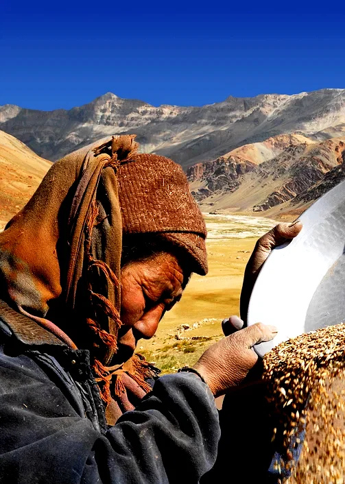 Photo du film : Himalaya, la terre des femmes