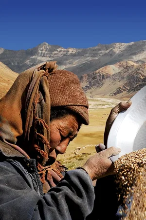 Photo 3 du film : Himalaya, la terre des femmes