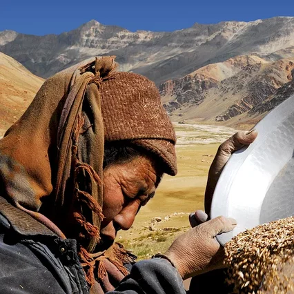 Miniature photo du film : Himalaya, la terre des femmes